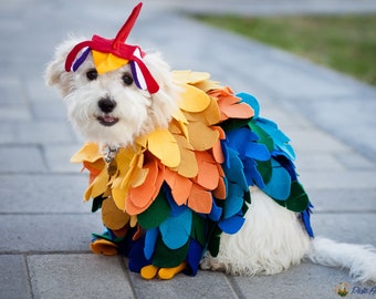 Any Bird Costume for Dogs or Cats