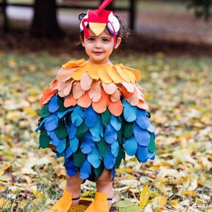 Hei Hei From Moana Inspired Costume - Etsy