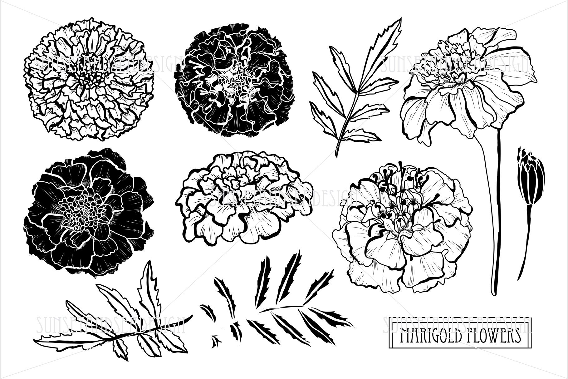 Marigold Flowers Digital Clipart. Flower Digital Clipart. Etsy