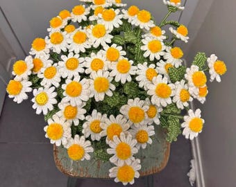 Daisy Bouquets available in different sizes, custom order