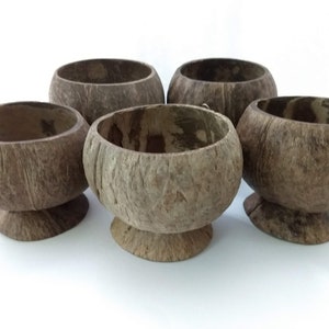 8  Real Coconut Cups or Kava Bilos Ready to Paint at your next party, paint and sip or birthday party or use just as they are.