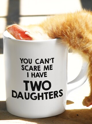 Tazza Divertente 'You Can't Scare Me I Have Two Daughters' In Ceramica, 312ml, Lavabile In Microonde