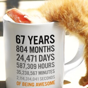 67th Birthday Gift 67 Sixty Seven Years Old, Months, Days, Hours Minutes, Seconds of Being Awesome Anniversary Bday Mug For Grandma Grandpa image 4