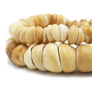 African Conch Shell Graduated Cap Beads From Ivory Coast (12-20m) Ocean Shell Beads - Tribal Wholesale African Beads (897P118) Rustic