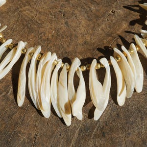 May include: A cream-coloured necklace with elongated shell pendants. The pendants are strung with small, gold-coloured beads. The necklace is displayed on a rustic wooden surface, emphasising its natural aesthetic. The necklace is approximately 40 cm in length.