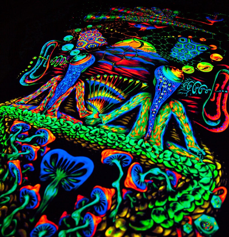 Melissa Trippy Age