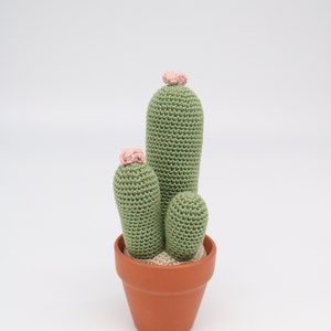 Handmade Small Crochet Cactus with Flowers in a Terracotta Pot 003