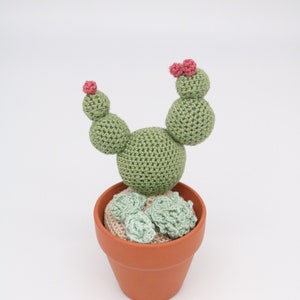 Handmade Small Crochet Cactus and Succulent in a Terracotta Pot 002