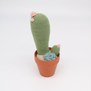 Small Crochet Cactus, No. 001  – Crochet Succulent – Amigurumi Cactus – Amigurumi Succulent