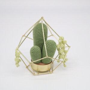 Small Crochet Baby Saguaro Cactus Terrarium No. 1 - Amigurumi Cactus - Faux Plant - Fake Saguaro Cactus- Terrarium Plant