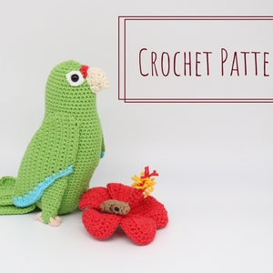 Amazona Puertorriqueña y su Amigo Coqui de Montaña Patrón de Ganchillo - Iguaca de Ganchillo - Amigurumi Coquí - Flor de Ganchillo