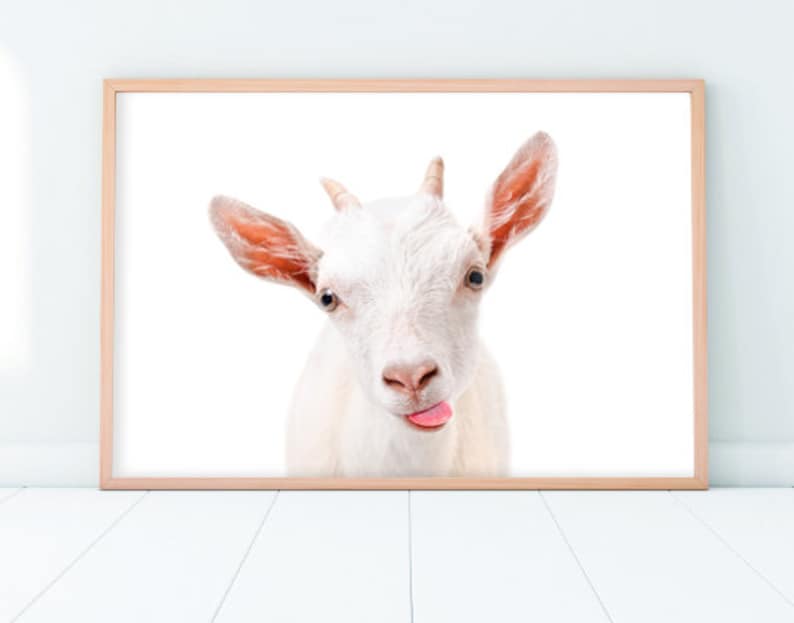 Baby Goat Wall Art Funny Nursery Art Animal Print Cute Etsy