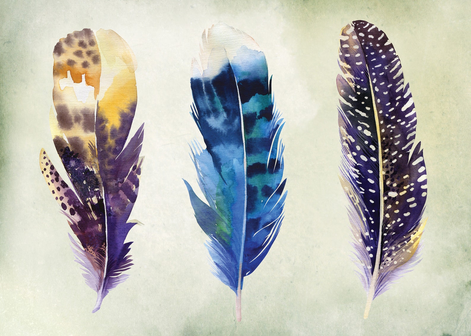 Feather Wall Art Feather Print PRINTABLE Artwork Cubicle | Etsy