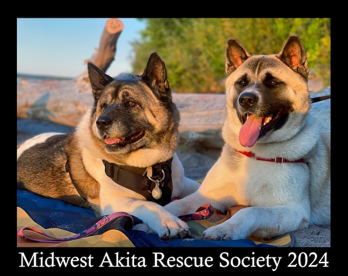 Midwest Akita Rescue Society 2024 Calendar Etsy