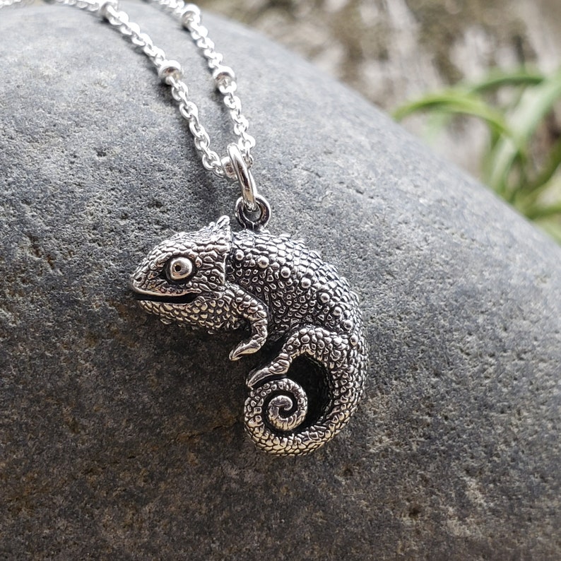 Sterling Silver Polished /& Textured Iguana Pendant