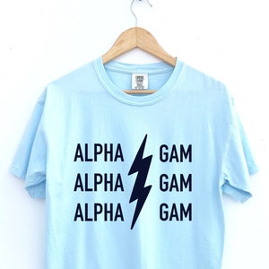 Alpha Gamma Delta Sorority Shirt, Comfort Colors Chambray