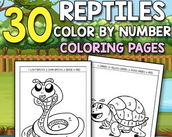 BEST VALUE Reptiles Color By Number Ages 4-8 – 30 Printable Reptiles Color By Number Activity Pages for Kids  Instant Download