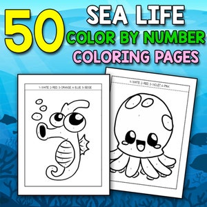 BEST VALUE 30 Ocean Coloring Pages: A Relaxing Coloring Book for