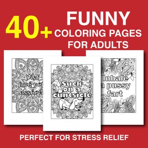 Funny Coloring Book Instant Download Swear Word Coloring Book for Adults Humorous Curse Word Gifts Anger Management Activity Book Grown Ups