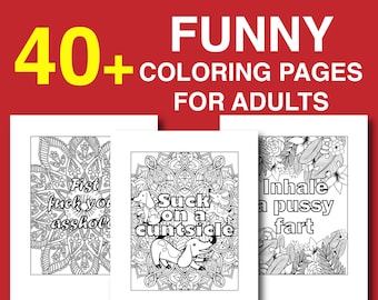 Lustiges Malbuch Sofort Download Schimpfwort Malbuch für Erwachsene Humorvoll Fluchwort Geschenke Anger Management Aktivitätsbuch Erwachsene