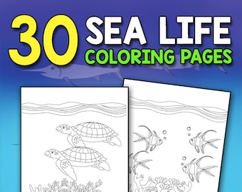 May include: Two black and white line drawings of sea life. The first drawing shows two sea turtles swimming over coral. The second drawing shows four fish swimming over coral.