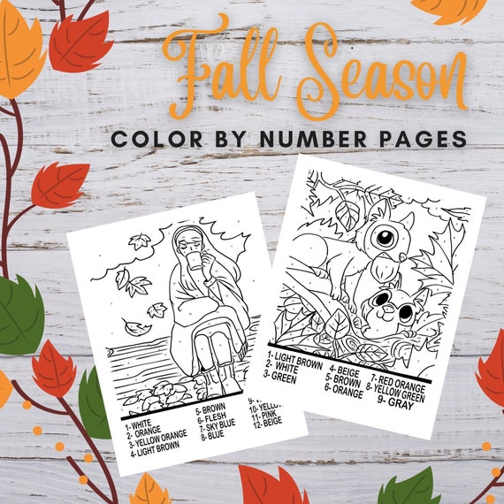 All Seasons - Coloring Page - Number Eleven