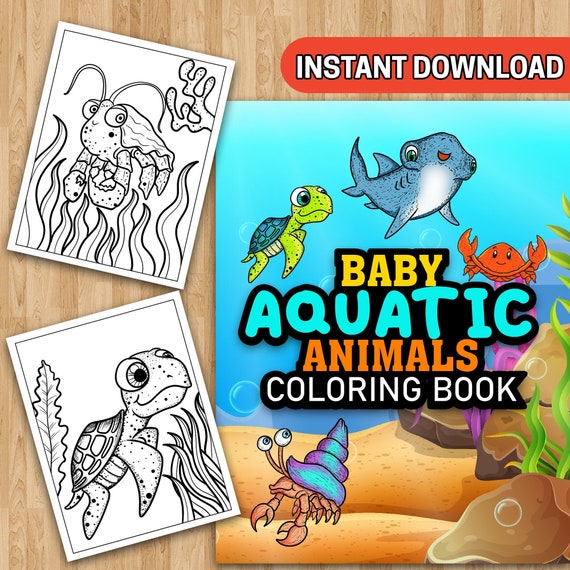 25 Baby Aquatic Animals Coloring Pages  Instant Download