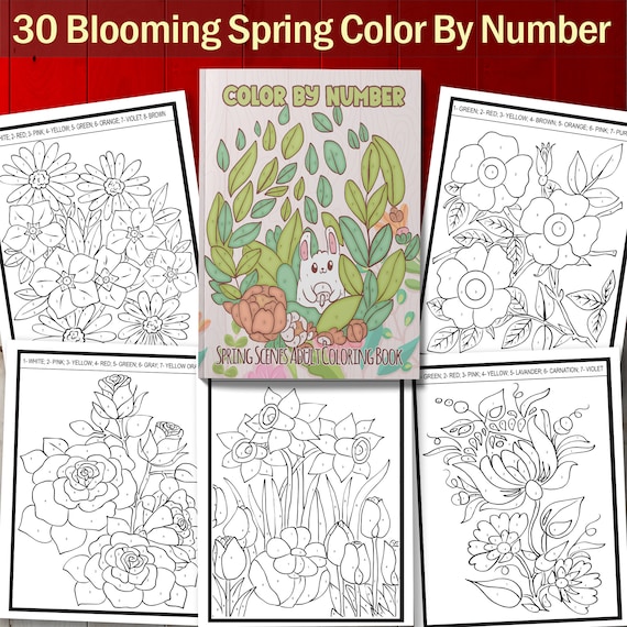 Color By Number Coloring Book For Adults: Large Print, Stress Relieving Designs [Book]