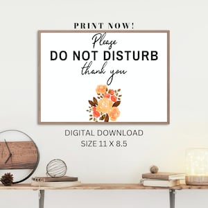 BEST VALUE Please Do Not Disturb - Instant Download Room Door Sign, Simple Poster Signage, Great for Office, Home, School, & More