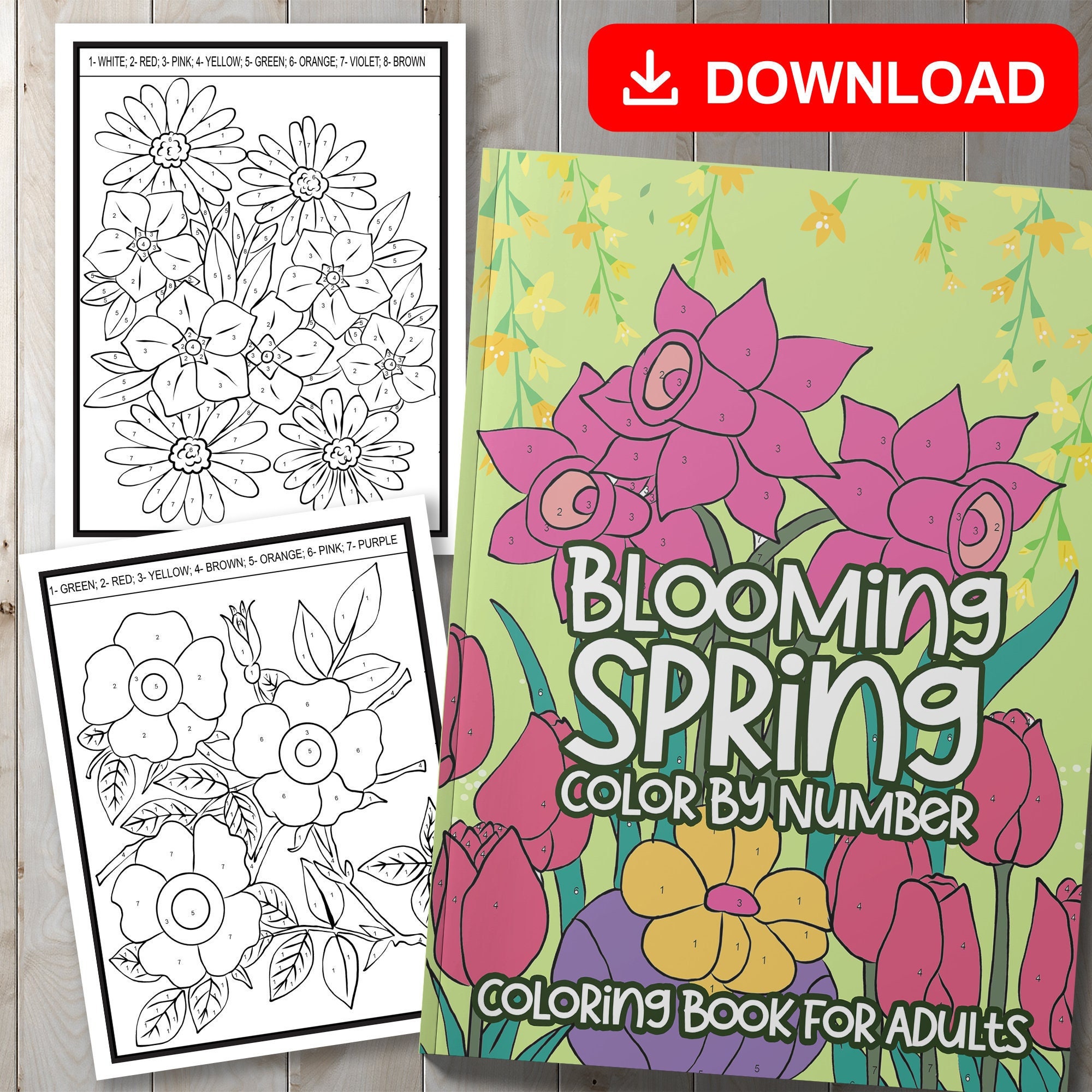 Color by Numbers Printable Coloring Book for Adults & Teens ,  