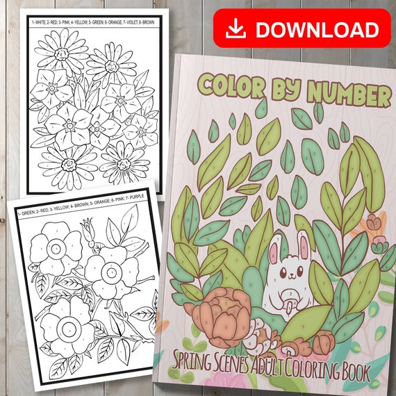 Adult Color By Number Coloring Book of Spring Scenes: Large Print