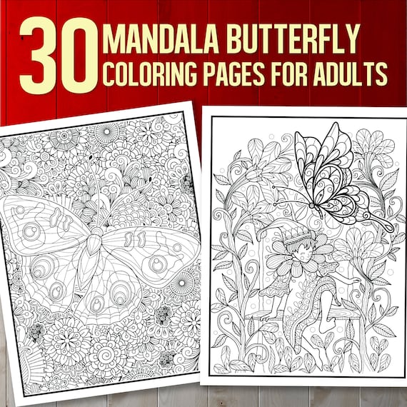 BEST VALUE Dreamy Butterflies: Simple Coloring Book for Adults Instant  Download Flower Designs & Mandala Patterns, Stress Relieving Pages 
