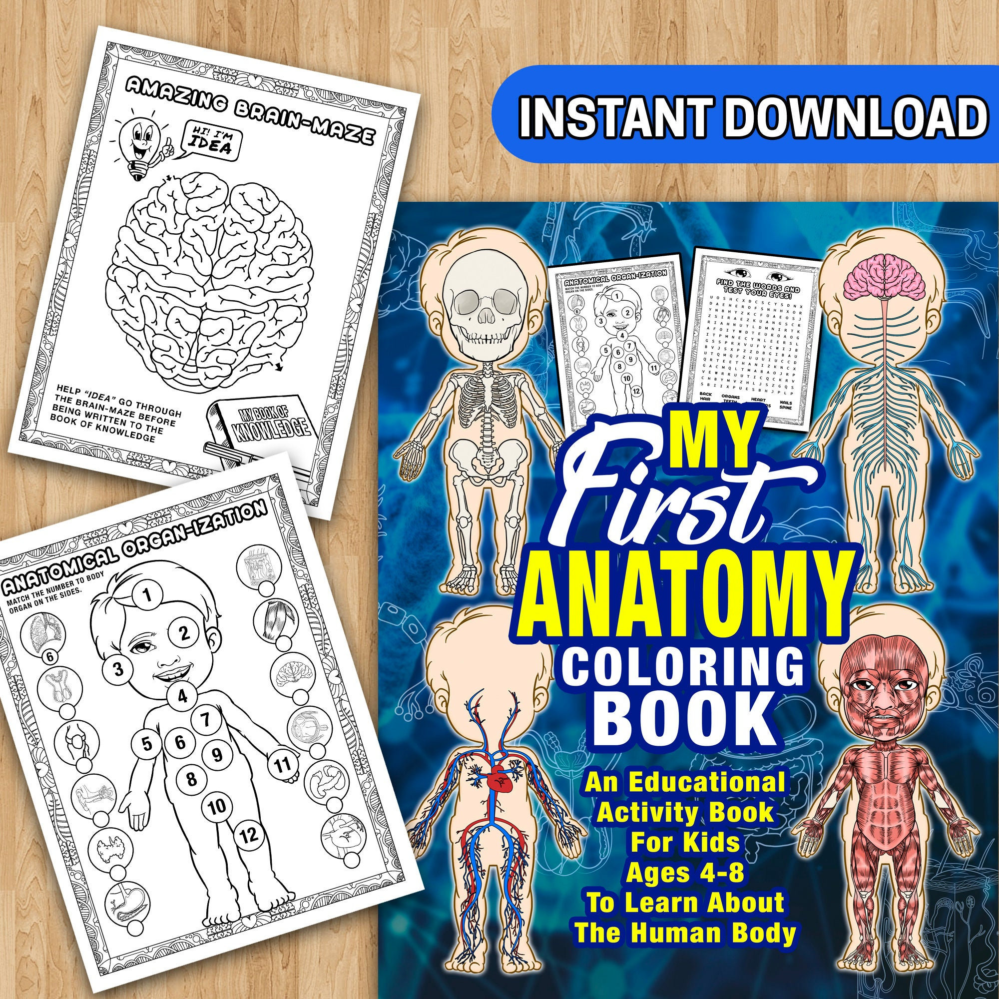 Human Body Coloring Book for Kids Ages 4-8: Human Anatomy Coloring Book,  Great Gift for Boys & Girls, Ages 4, 5, 6, 7, and 8 Years Old, Human Body  kids by Flashing Happy Coloring