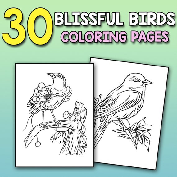 BEST VALUE Blissful Coloring Book for Bird Lovers  Birds 30