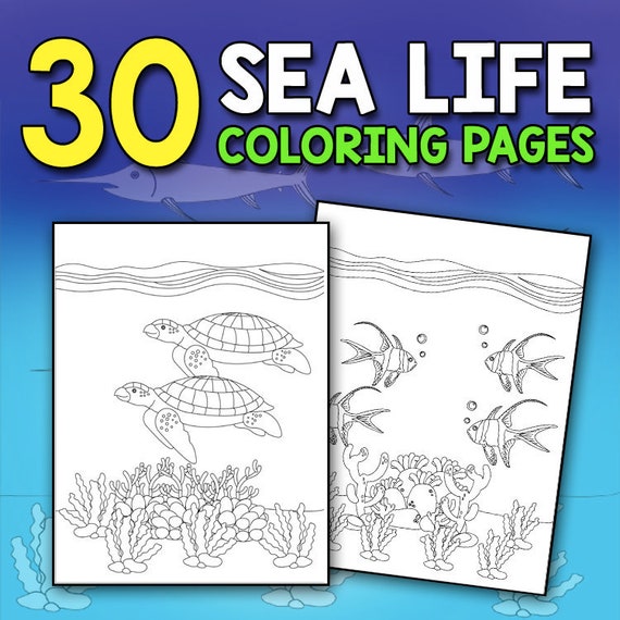 Download Sea Life Coloring Book A Relaxing Ocean Coloring Book For Adults Teens And Kids With Dolphins Sharks Fish Whales Jellyfish
