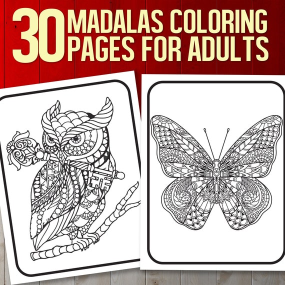 Nature Mandalas Coloring: A Coloring Meditation [Book]
