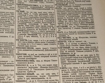 解説ロシア語辞典 オジェゴフ・シュヴェドワ 944ページ Толковый