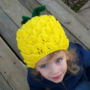 Pineapple Panache crochet Hat Pattern