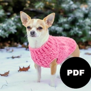 May include: A small dog wearing a pink knitted sweater stands in the snow. The dog has tan and white fur and is looking at the camera. A black circle with the word "PDF" in white is in the lower right corner.