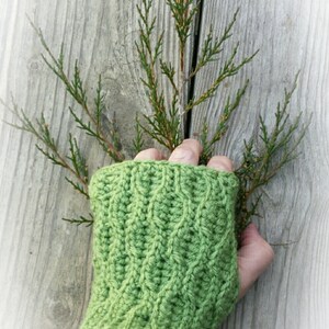 Evergreen Fingerless Mitts (Gloves)