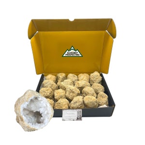 Break Your Own Geodes! IN BOX | Unbroken, Uncut Moroccan Crystal Geode Specimens | Small Size | Quartz Crystals | Geode Gift