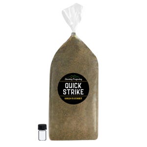 Gold Paydirt | 8oz Bag | Unsearched  Paydirt | Guaranteed Gold + Free Glass Vial