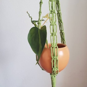May include: A green macrame plant hanger with a terracotta pot and a green plant inside.
