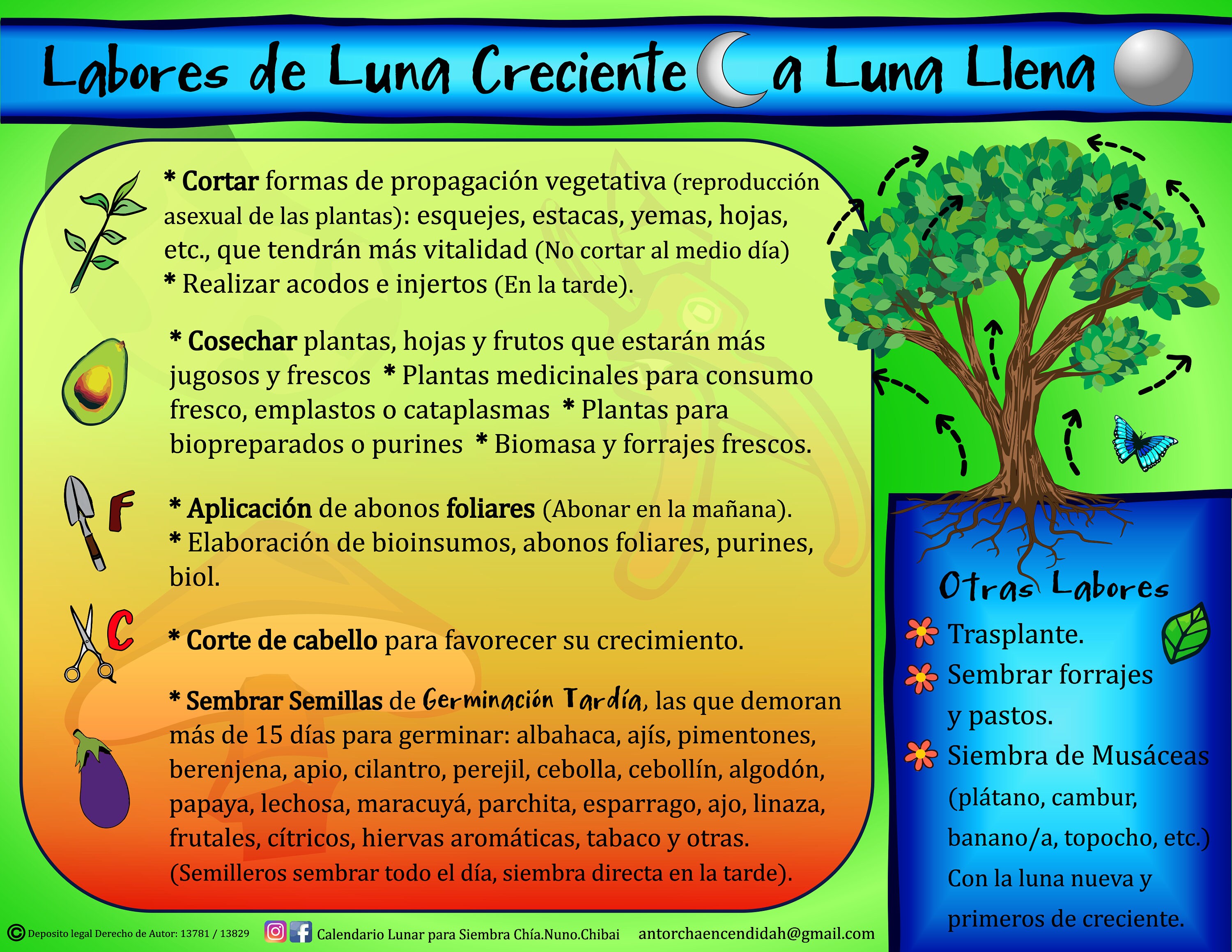 tristeza-ven-glamour-calendario-lunar-de-siembra-2018-bueno-ciudadano