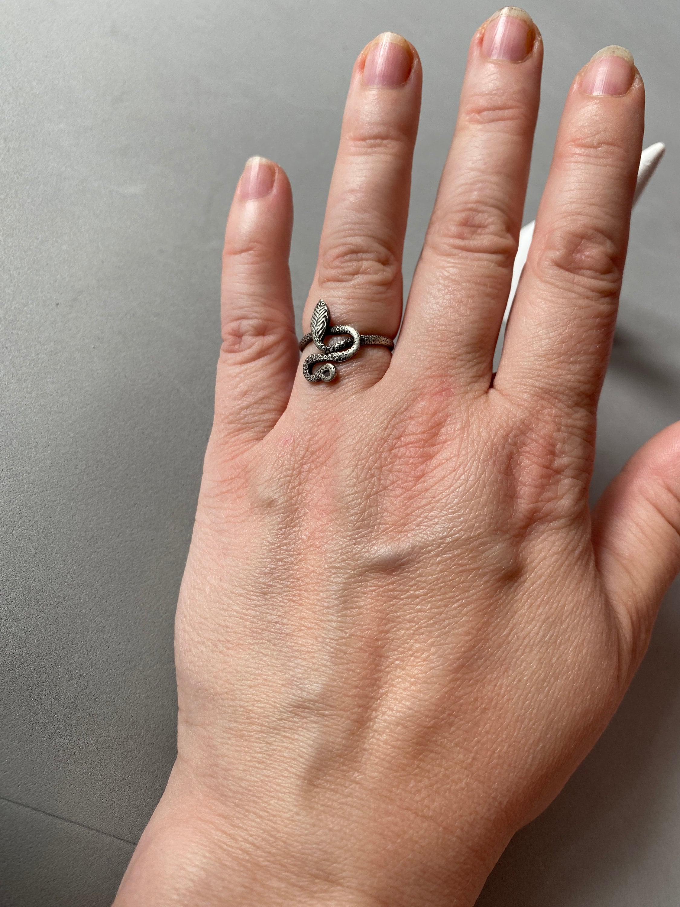 Bague Argentée Cobra Dressé Uraeus - Serpent à Lunettes Charmeur Python - Taille 60, Unisexe