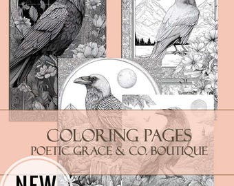 Fantasy Raven Coloring Pages for Adults | Mystical Halloween Art (Instant Download)