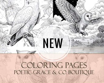 4 Whimsical Halloween Art Owl Adult Coloring Pages