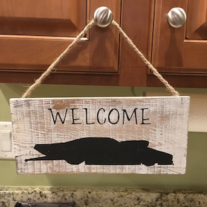 promod car drag racing sign