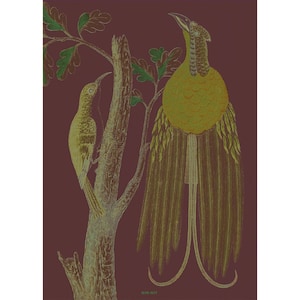 Wall-Art | Goldie&#39;s Bird of Paradise | Aluminum | Wall Decoration | Wall Decoration