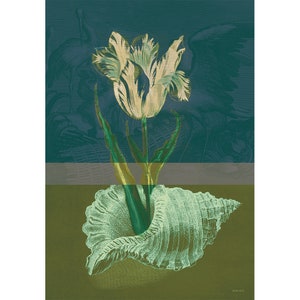 Op de afbeelding: Een witte tulp met groene bladeren zit in een grote, lichtgroene schelp. De achtergrond is donkerblauwgroen met een lichtgrijze streep.